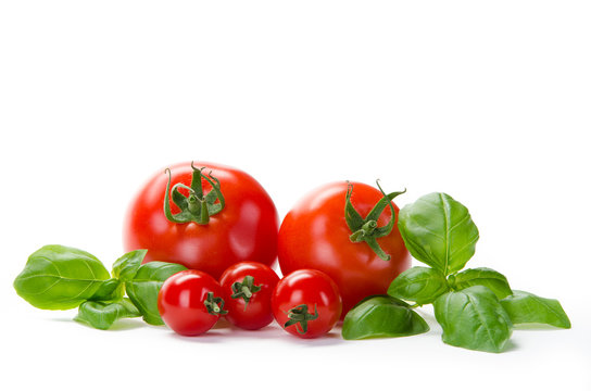 5 Tomaten mit Basilikum