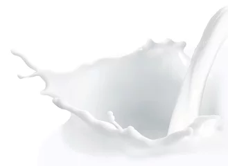 Milchspritzer
