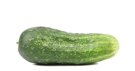 Single green cucumber