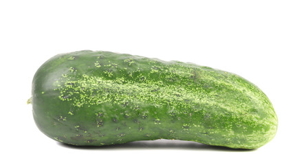 Single green cucumber