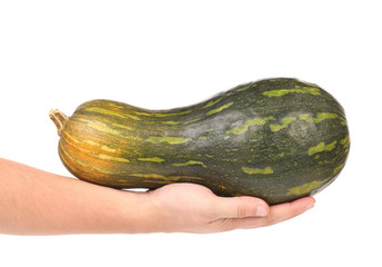 Hand holds fresh pumpkin