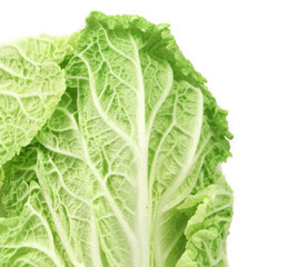 Obraz premium Close-up of fresh chinese cabbage