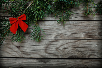 fir tree christmas background