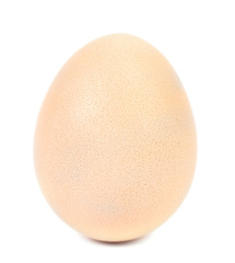 Close up of white egg