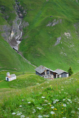 Bergsommer in den Alpen