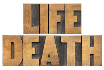 life and death in wood type