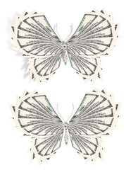 concept of successful butterfly