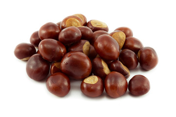 Autumn Conkers