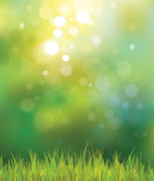 Vector sunny spring background with grass.