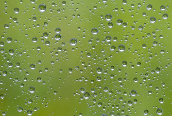 Gocce d'acqua su sfondo verde