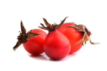 Berries of dog rose isolated on white. Close up