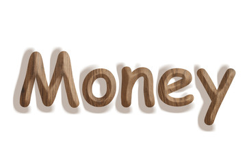 Business concept:  wooden word company  on white background