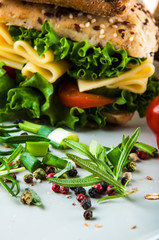 Vivid sandwich concept, natural food