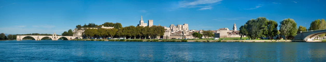 Foto op Canvas Great Panoramic view of Avignon old city and Rhone river © Pablo Debat