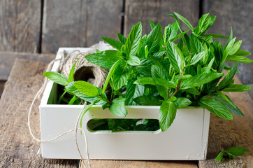 Fresh mint on a wooden background