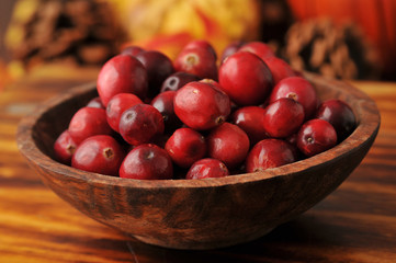Bowl of cranberries