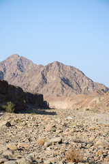 Fototapeta na wymiar Wadi Wuraya Sanktuarium, Zjednoczone Emiraty Arabskie