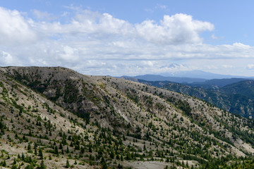 Obraz premium Au Mont Rainier National Park, USA