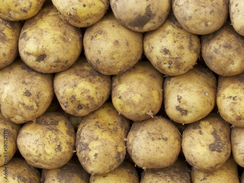 Dicke Kartoffeln