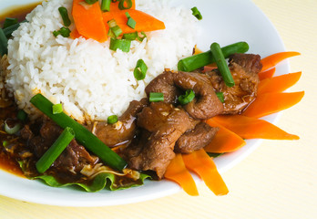 beef stir-fry with vegetable and rice