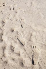 a footprint in the sand