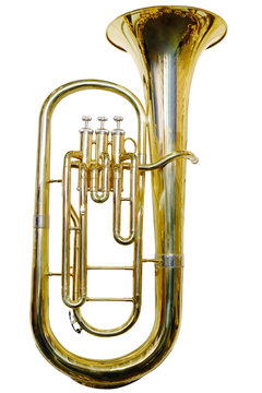 trumpet