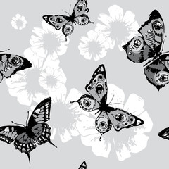 butterflies design