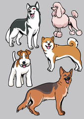 Dogs vector collection part 3