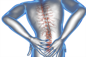 anatomical vision back pain