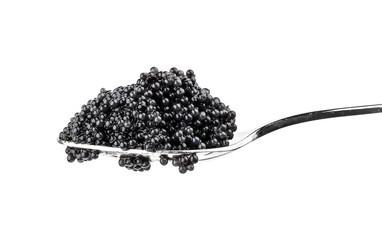 Black caviar in metal spoon. Macro photo isolated on white