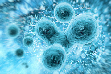 bacteria or cells under a microscope