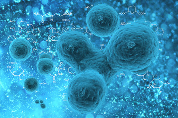 cells under a microscope