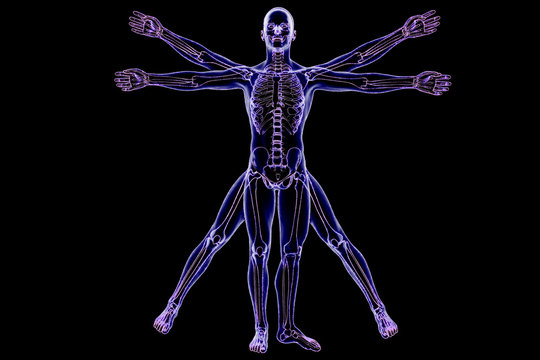 Vitruvian man of stars