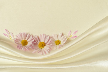 White background with chamomiles