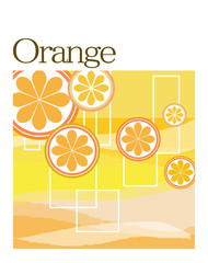オレンジ2013-1107