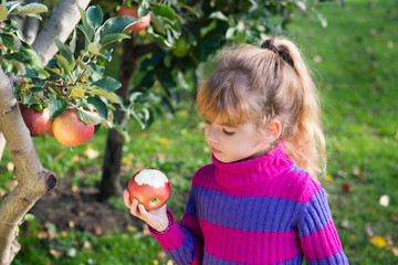 little girl eat apples