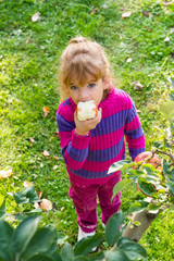 little girl eat apples