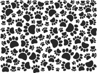 paw pattern