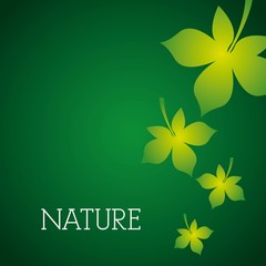 nature design