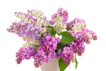 Bouquet of lilacs. Isolation.