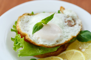 sandwich with egg and vegetables