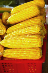 Sweet corn is put  are row in the market.