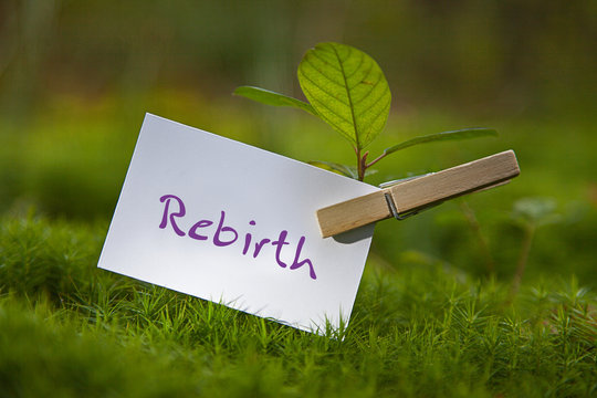 Rebirth