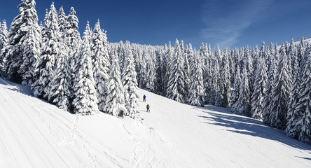 Downhill Skiing