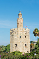 Fototapeta na wymiar Golden Tower Sewilla Hiszpania
