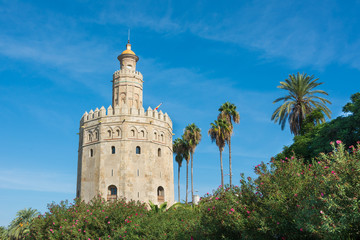 Fototapeta na wymiar Golden Tower Sewilla Hiszpania
