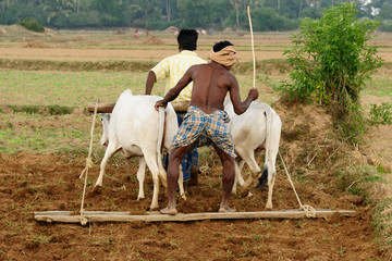 Work on the role in Asia