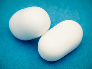 Fresh Mint Candy on Blue