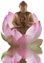 concept spiritualité : bouddha et lotus rose