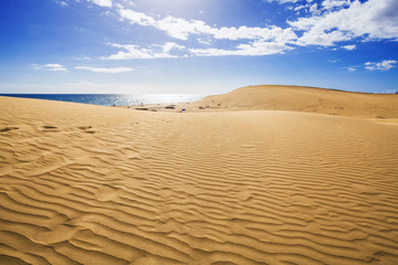 sand dunes and ocean